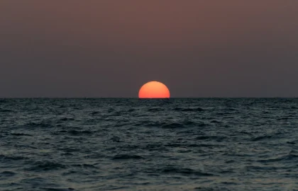 1 Hour Cruise Service In Goa